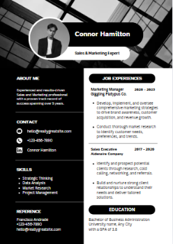 CV Créatif