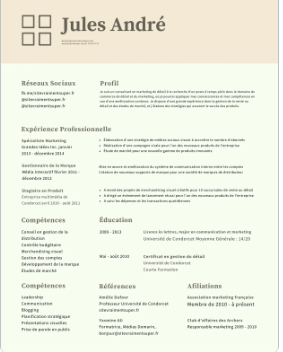 CV Classique