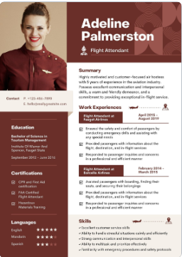 CV Professionnel